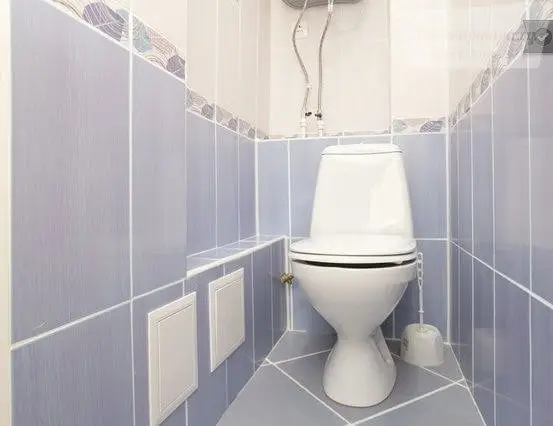 улица Вишневского, 55